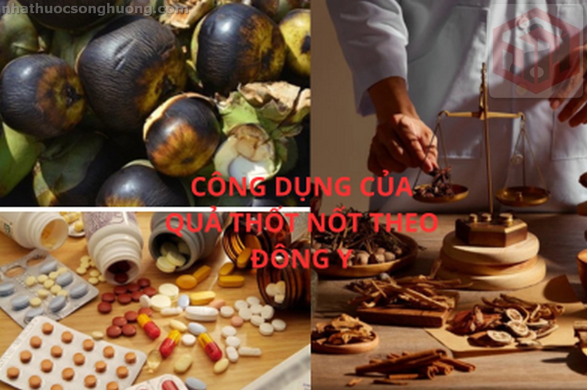 CÔNG DỤNG CỦA QUẢ THỐT NỐT THEO ĐÔNG Y