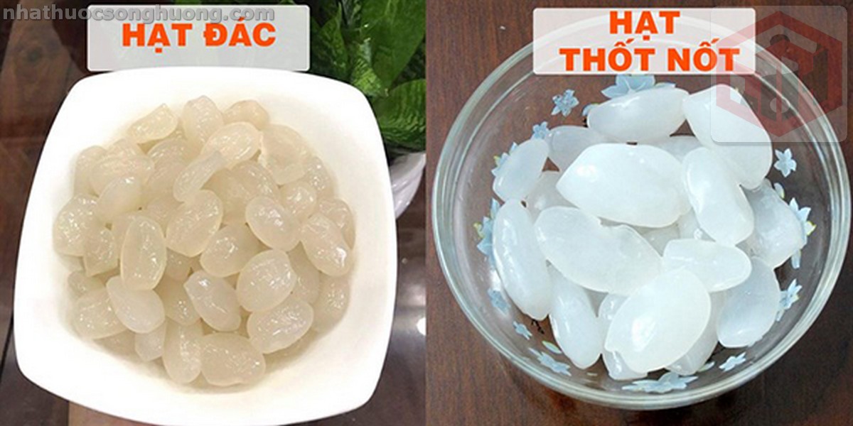 phân biệt hạt thốt nốt và hạt đác dựa vào màu sắc, trắng là thốt tốt - vàng là hạt đác