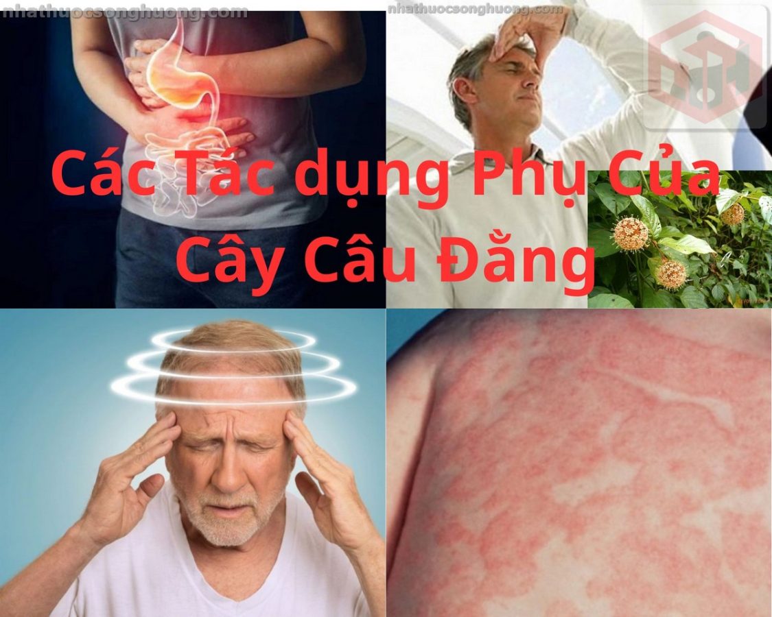 Các Tác dụng Phụ Của Cây Câu Đằng
