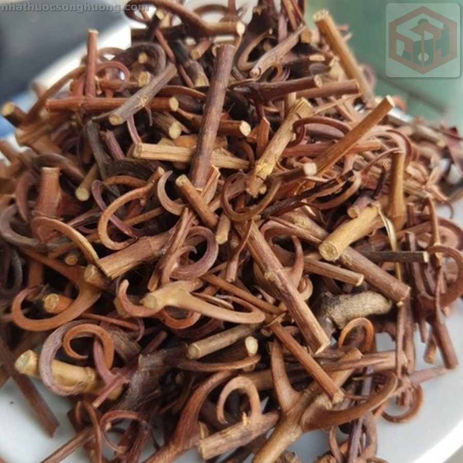 câu đằng khô đặc điểm dược liệu