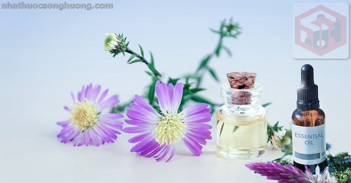 chiết xuất chữa bệnh của móng mèo Uncaria Tomentosa