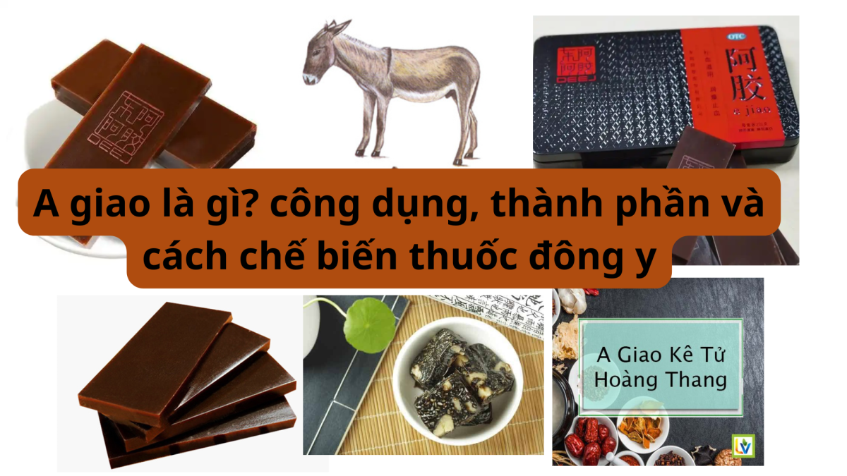 A Giao là gì, công dụng, thành phần và cách chế biến