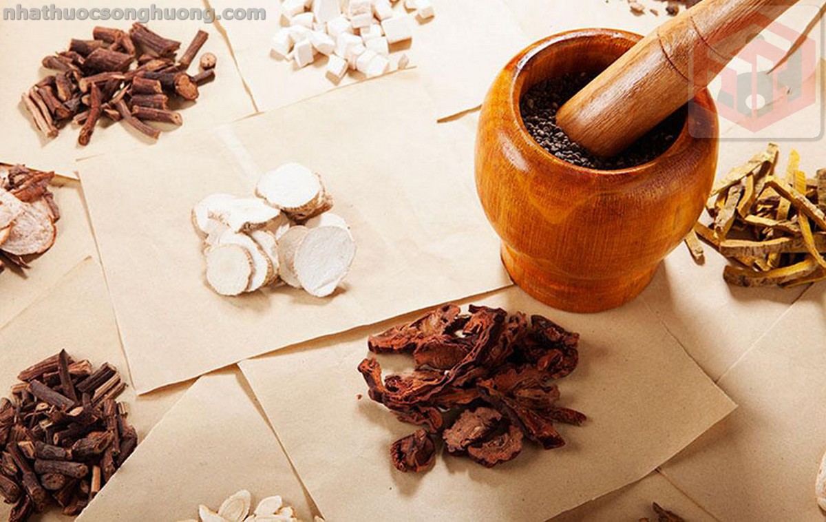 bài thuốc y học cổ truyền từ cây Viễn Chí