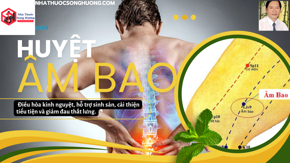 các công dụng của Huyệt Âm Bao như điều hòa kinh nghiệp, giảm đau thắt lưng
