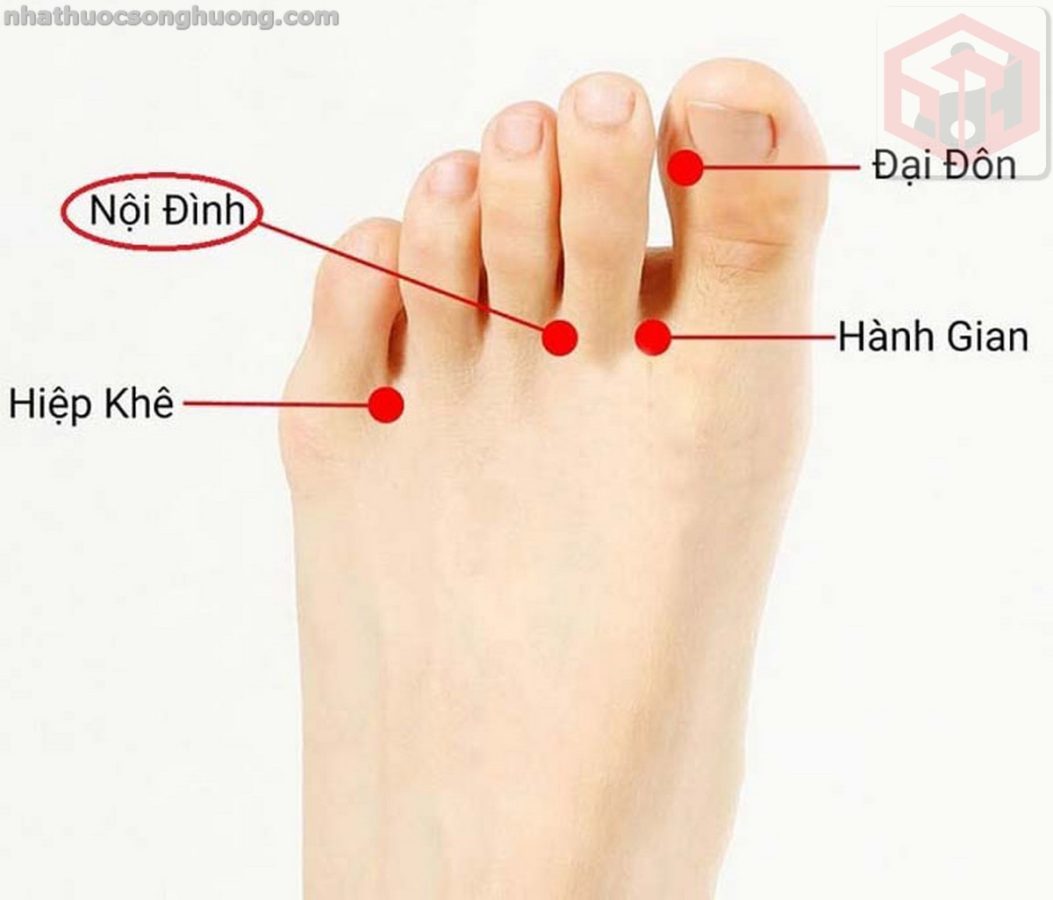 huyệt Nội ĐÌnh
