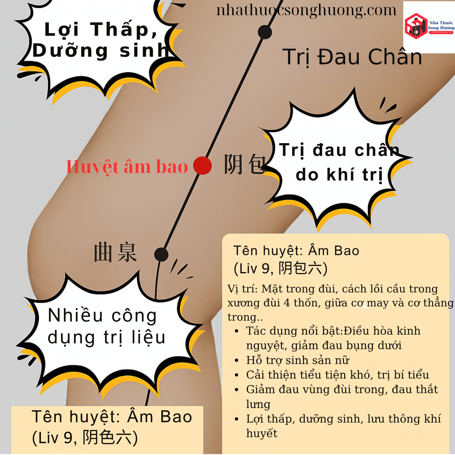 huyệt Âm Bao, vị trí, tác dụng và cách châm cứu
