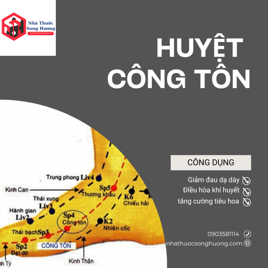 huyệt công tôn điều trị đau dạ dày, điều hòa khí huyết, tăng cường tiêu hóa