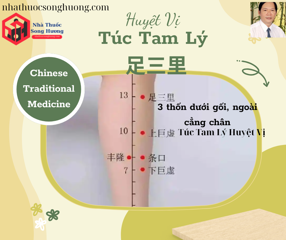 Vị trí huyệt Túc Tam lý, 3 thốn dưới gối