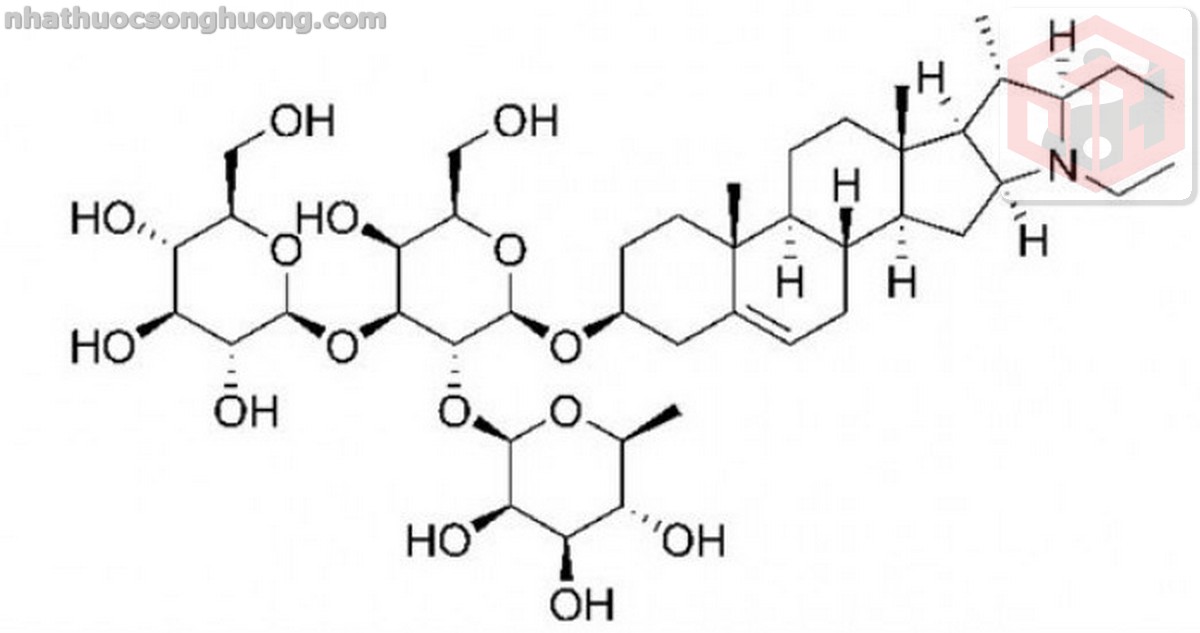 saponin từ viễn chí