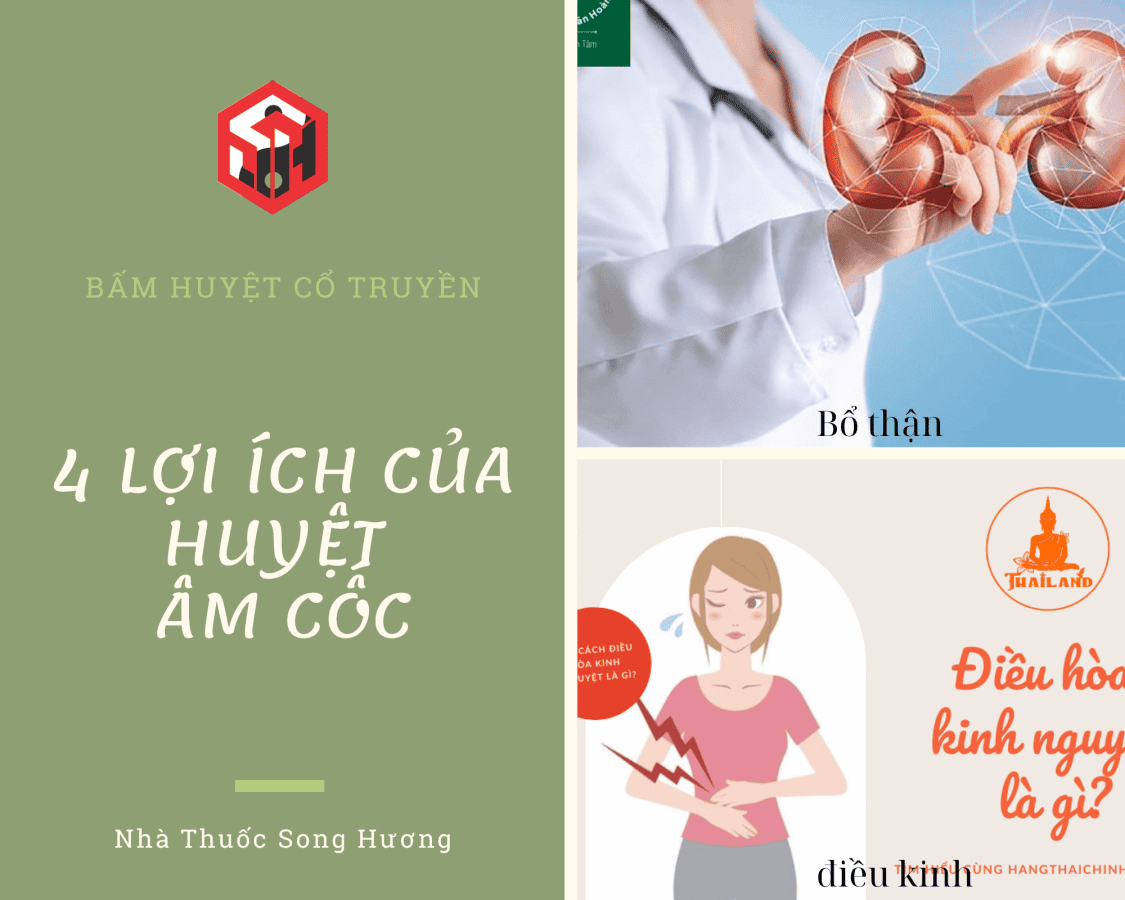 huyệt âm cốc bổ thận, điều kinh, lợi thấp, cường gân cốt