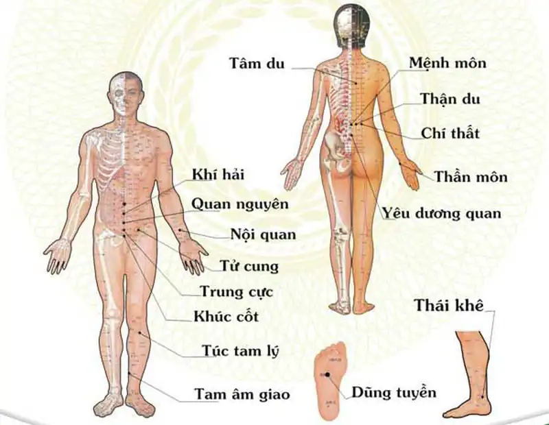 hướng dẫn bấm huyệt Âm CỐc