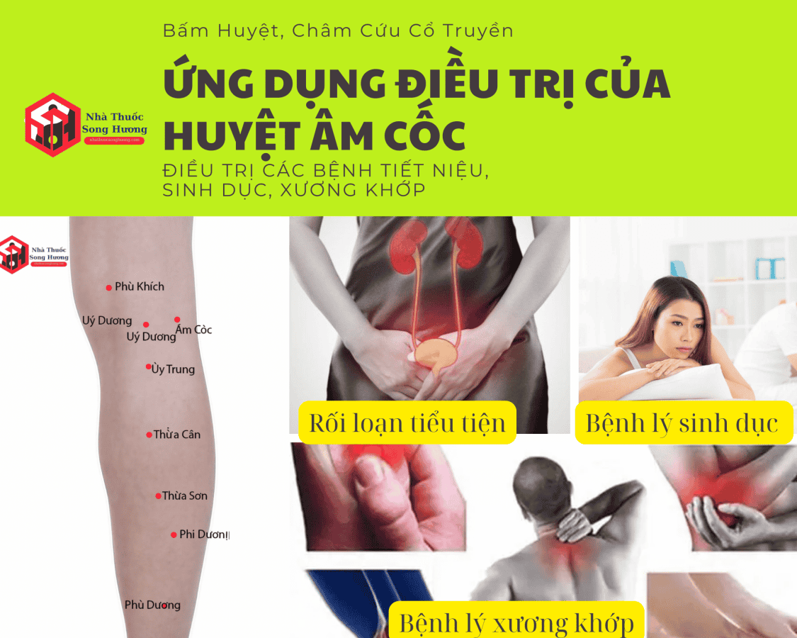 ứng dụng điều trị của huyệt Âm Cốc cho bệnh tiết niệu, xương khớp, sinh dục