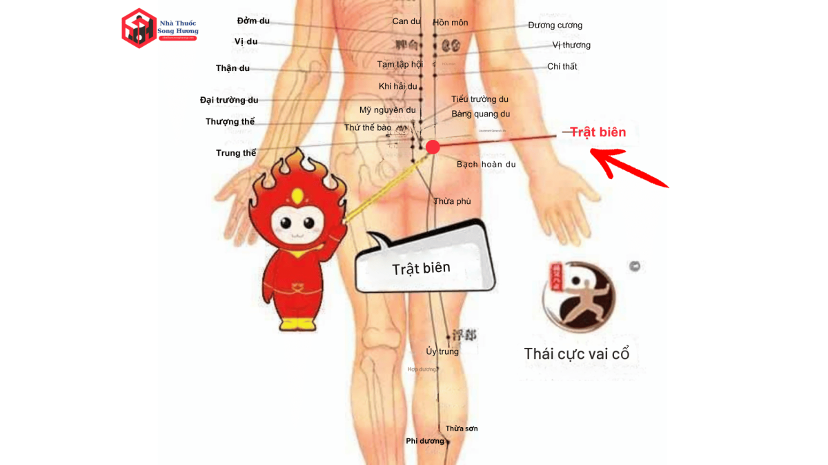 Bấm huyệt Bào Hoang phối hợp với huyệt nào để chữa bệnh