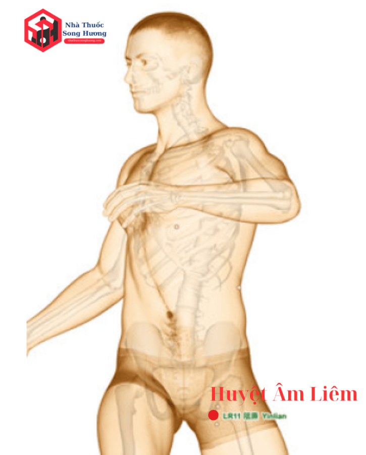 Các Phương pháp tác động huyệt Âm Liêm