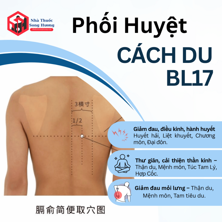 Các cách phối huyệt cách du trị bệnh