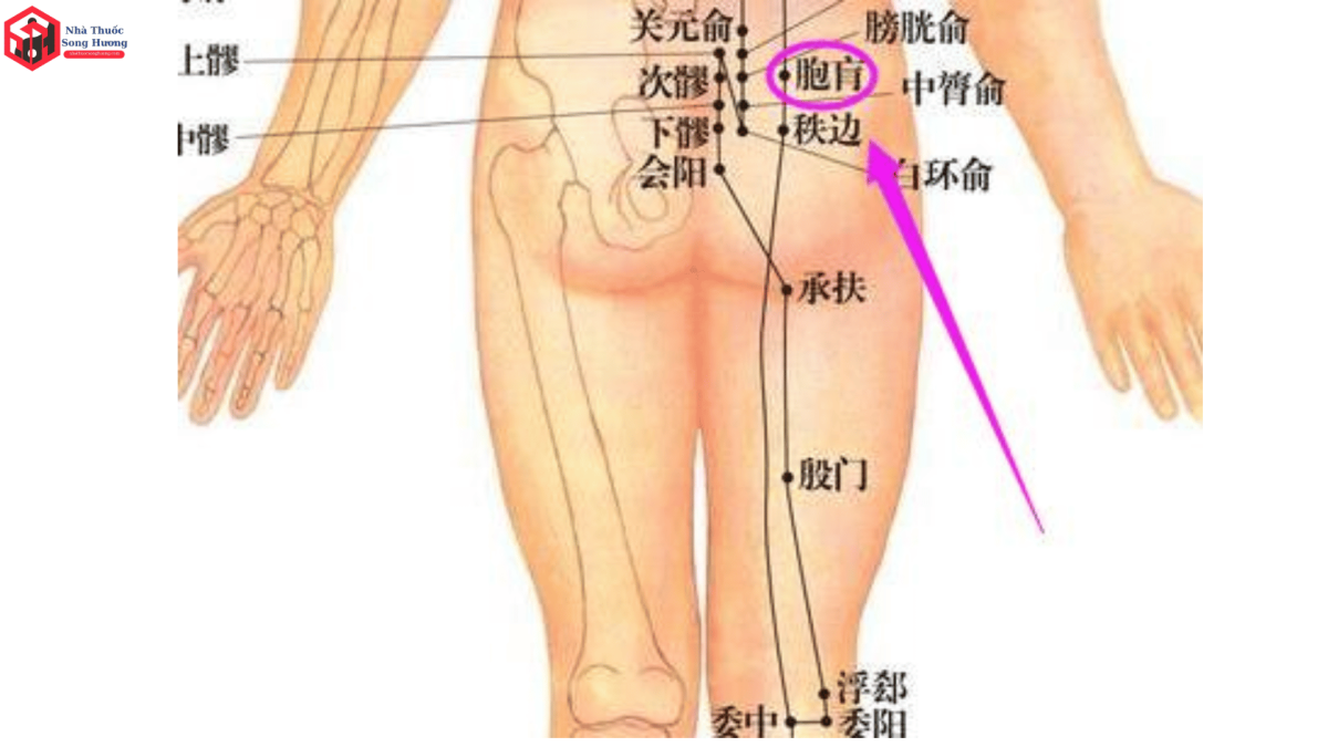 Các phương pháp tác động vào huyệt Bào Hoang