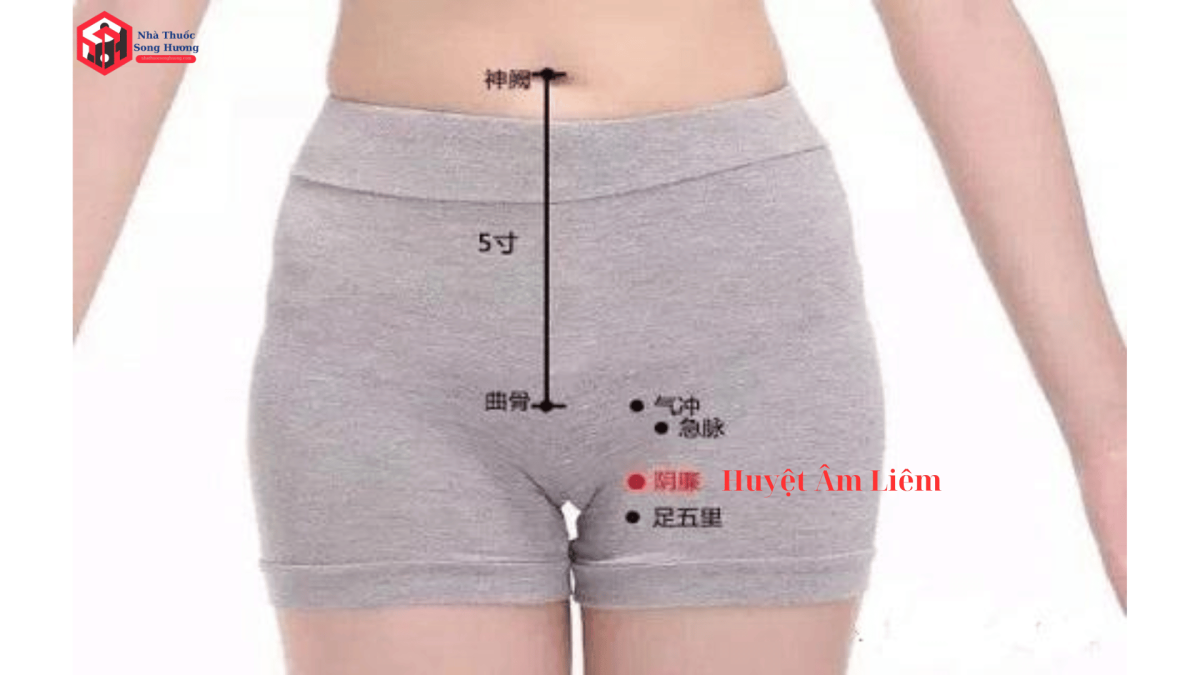 Cách bấm huyệt, châm cứu Âm Liêm Với các huyệt nào để chữa bệnh