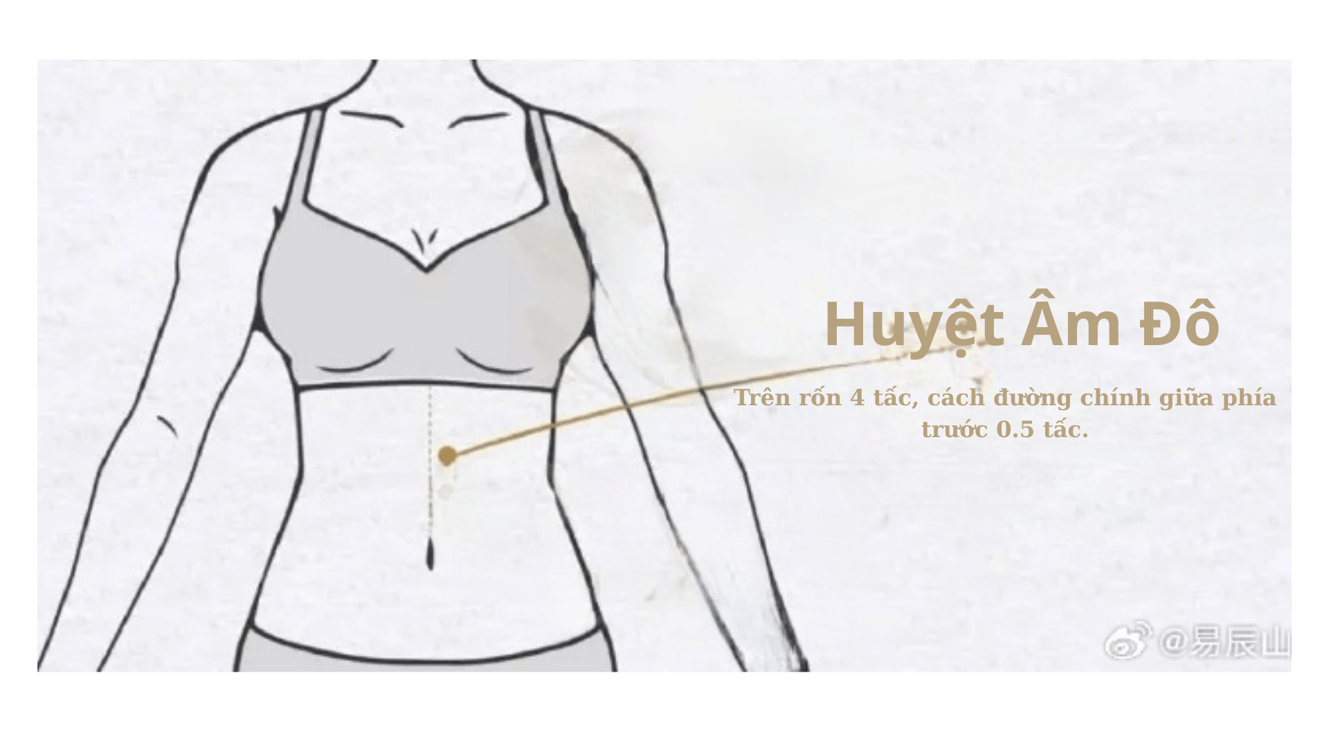 Cách xác định vị trí huyệt Âm Đô