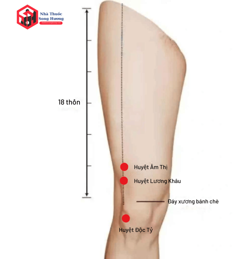 Cơ chế tác động khi bấm châm cứu huyệt Âm Thị