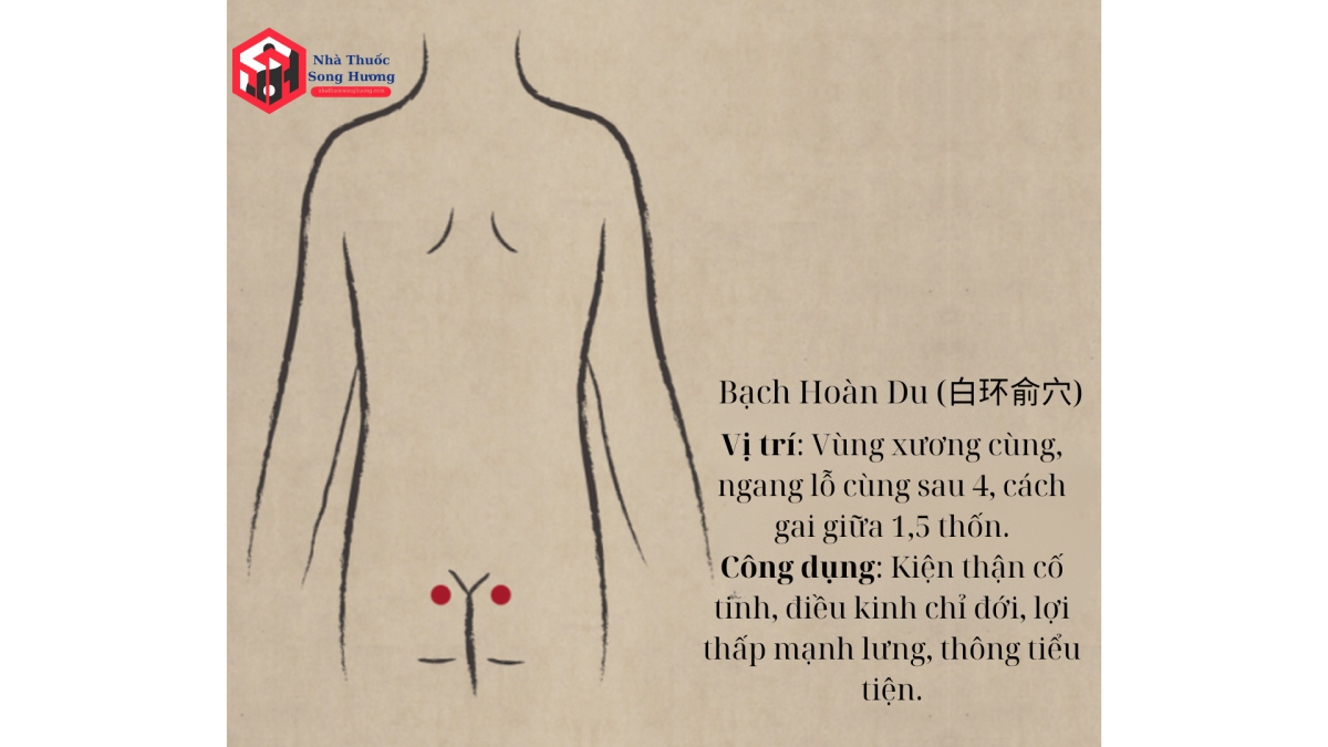 Công dụng của huyệt Bạch Hoàn Du