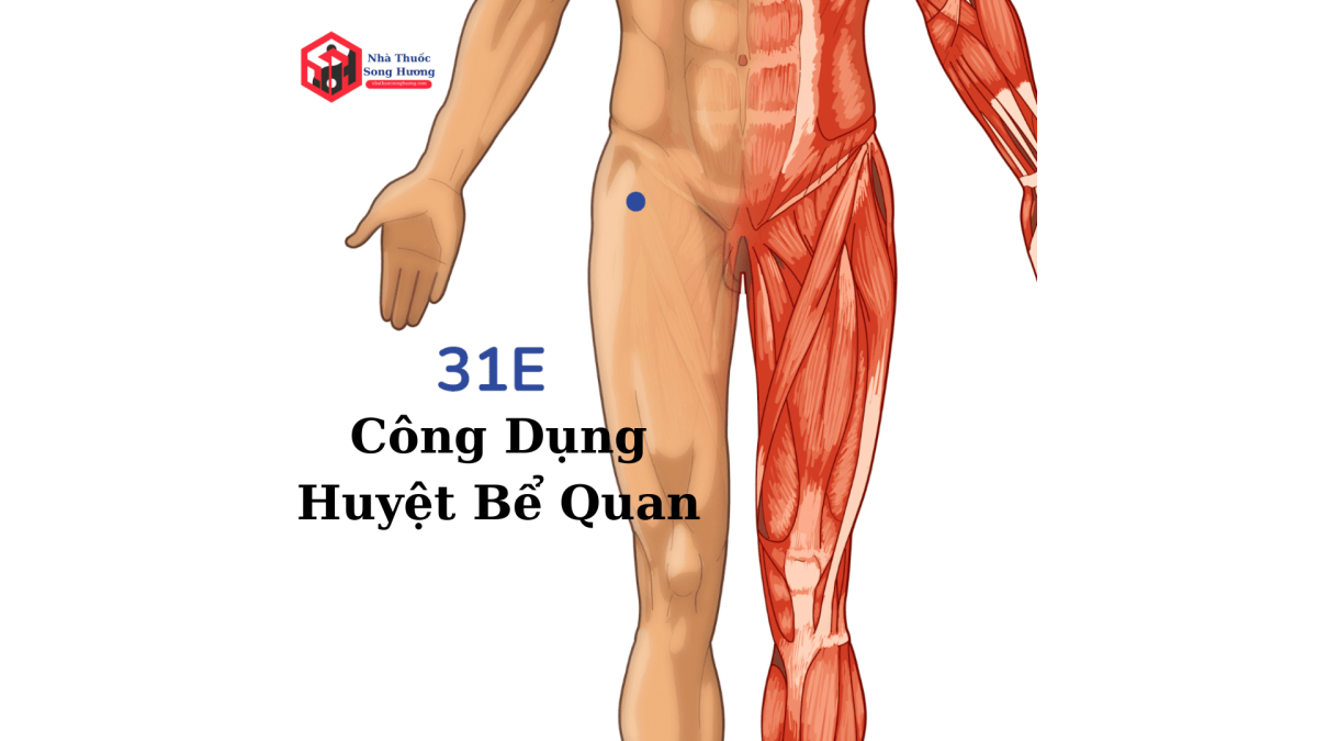 Công dụng huyệt Bể Quan theo đông y và tây y