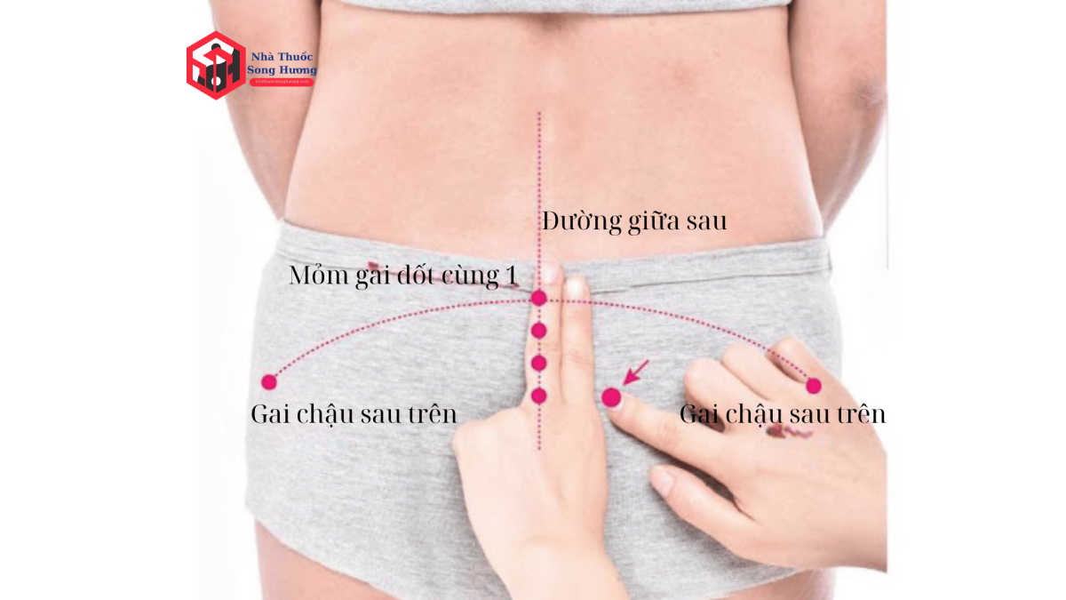 Góc nhìn chuyên sâu về cơ chế tác động khi bấm huyệt Bạch Hoàn Du