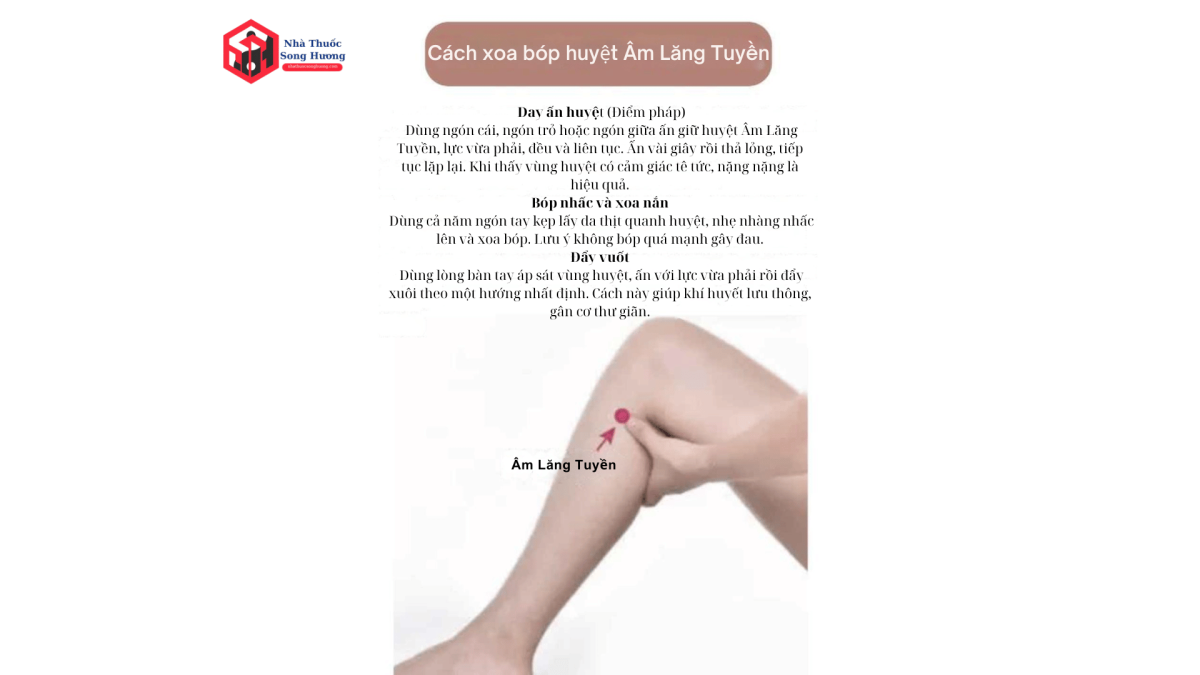 Hướng dẫn tác động huyệt Âm Lăng Tuyền