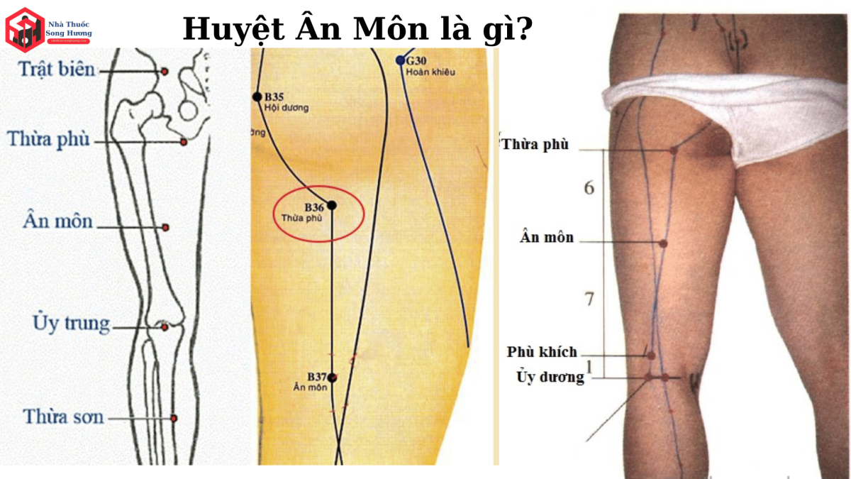 Hướng dẫn tác động huyệt Âm Môn