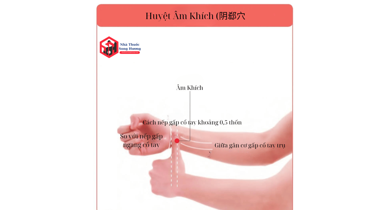 Huyệt ÂM Khích là gì, vị trí ở đâu, nguồn gốc tên gọi