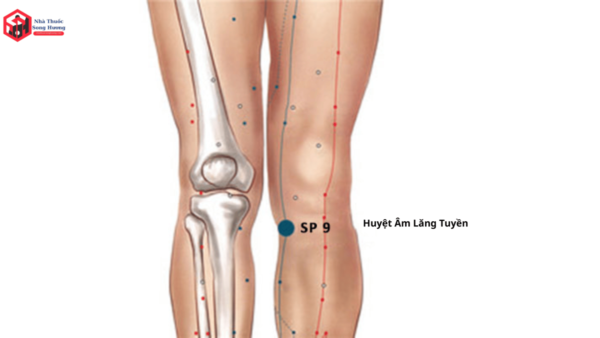 Huyệt Âm Lăng Tuyền là gì