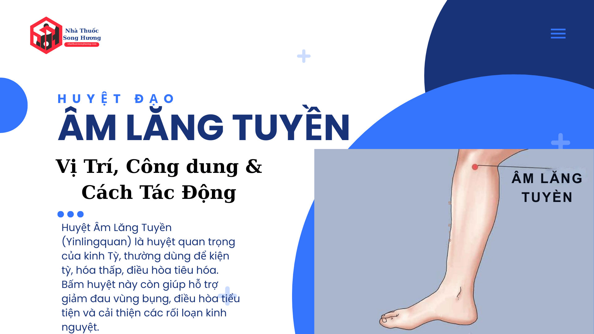 Huyệt Âm Lăng Tuyền vị trí, công dụng và cách tác động