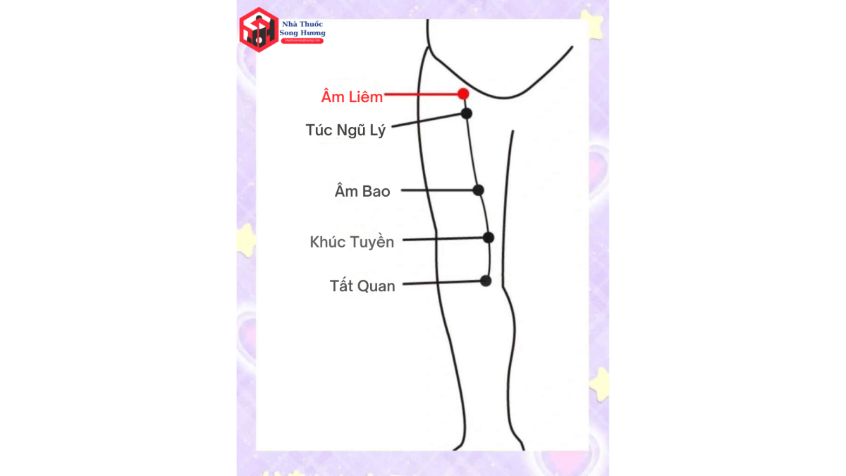 Huyệt Âm Liêm là gì, có tác dụng như thế nào
