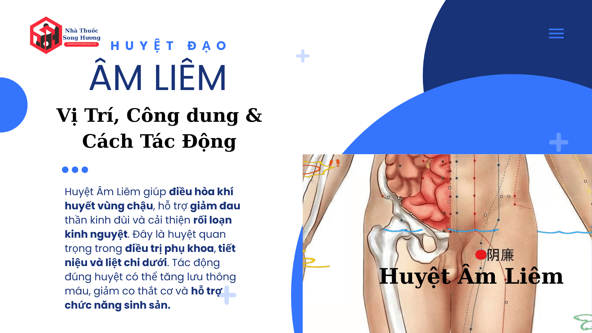 Huyệt Âm Liêm vị trí, công dụng, và cách tác động