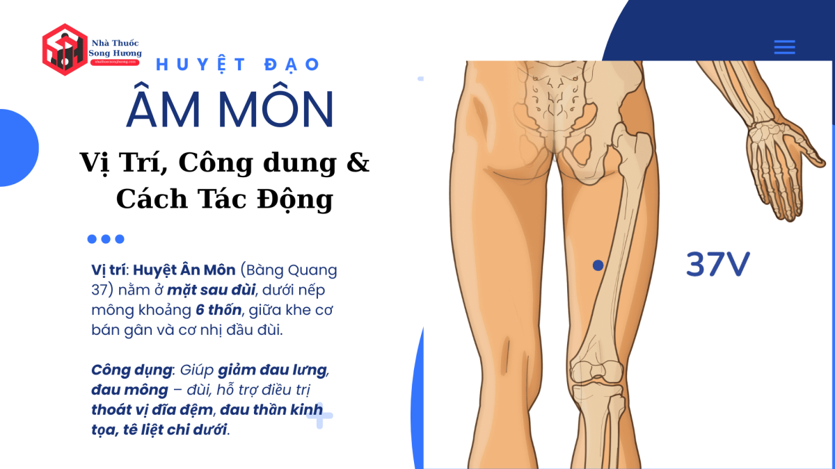 Huyệt Âm Môn vị trí, công dụng, phối huyệt và cách tác động hiệu quả
