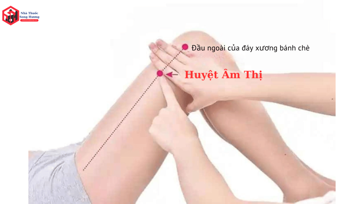 Huyệt Âm Thị là gì, nguồn gốc tên gọi và vị trí giải phẩu