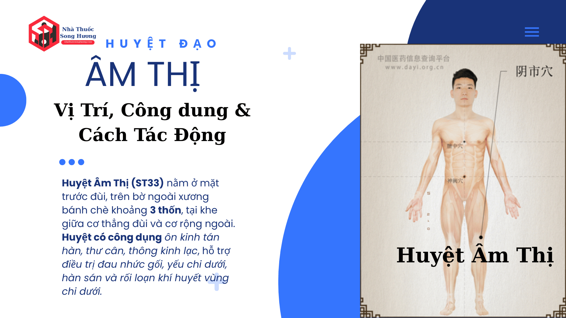 Huyệt Âm Thị, vị trí, công dụng, phối huyệt và cách tác động