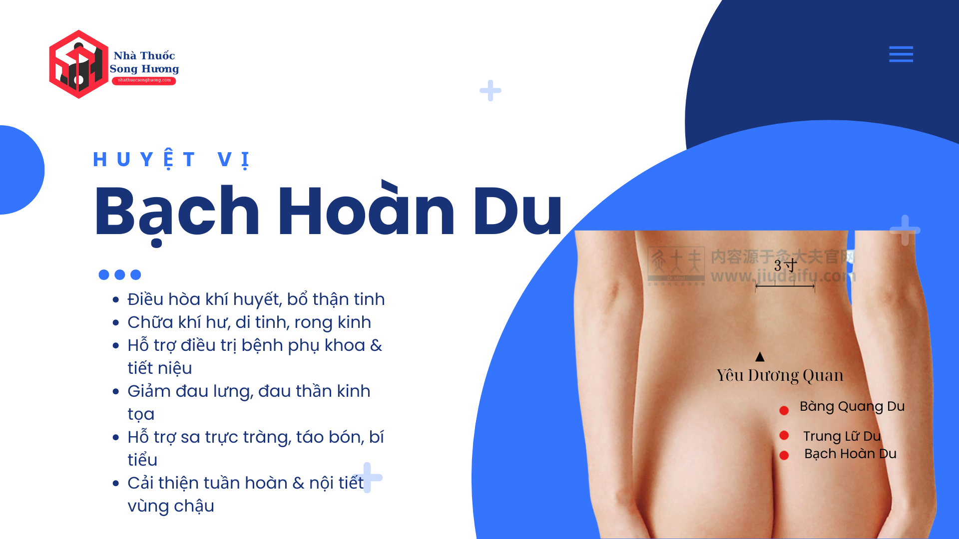 Huyệt Bạch Hoàn Du là gì