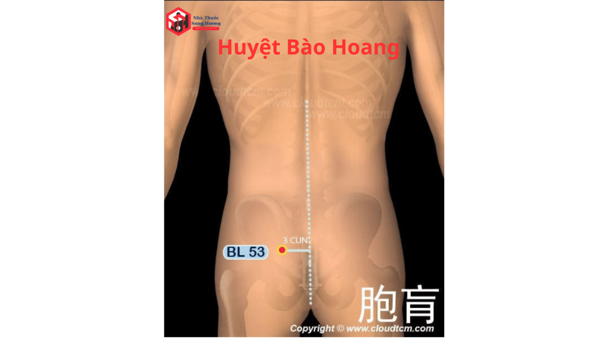 Huyệt Bào hoang dưới góc nhìn y học hiện đại