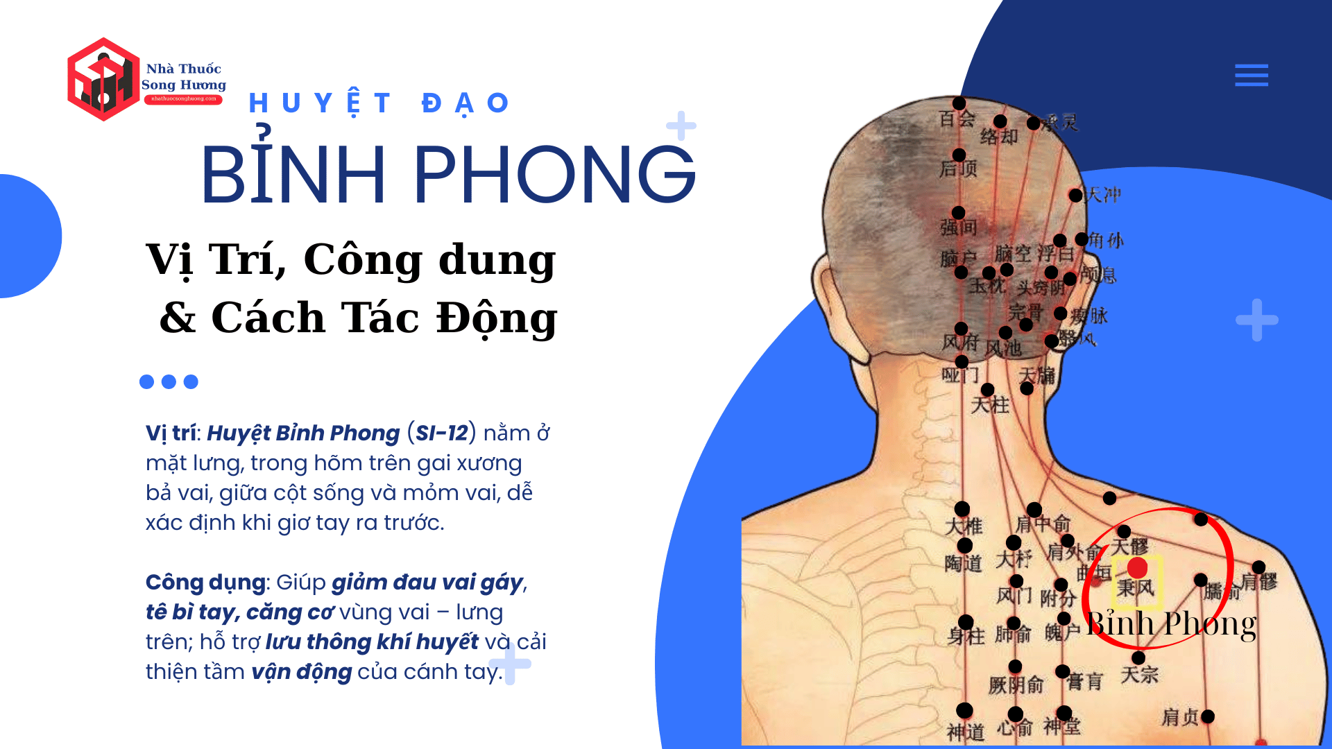 Huyệt Bỉnh Phong Vị trí, công dụng và cách tác động