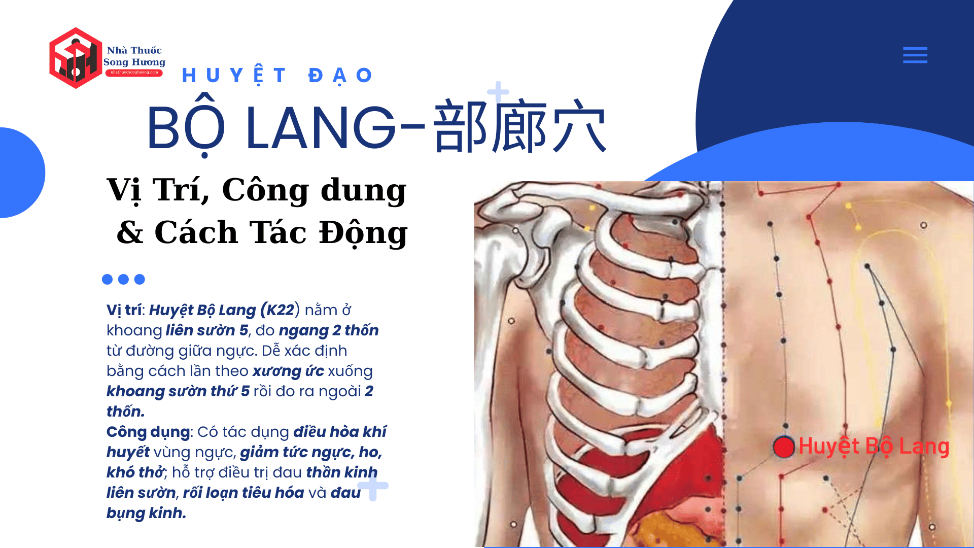 Huyệt Bộ Lang là gì, vị trí giải phẫu, công dụng và cách tác động vào huyệt