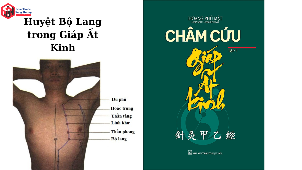Vị trí giáp Ất kinh huyệt Bộ Lang trên cơ thể – hỗ trợ giảm đau vai gáy và tê bì tay