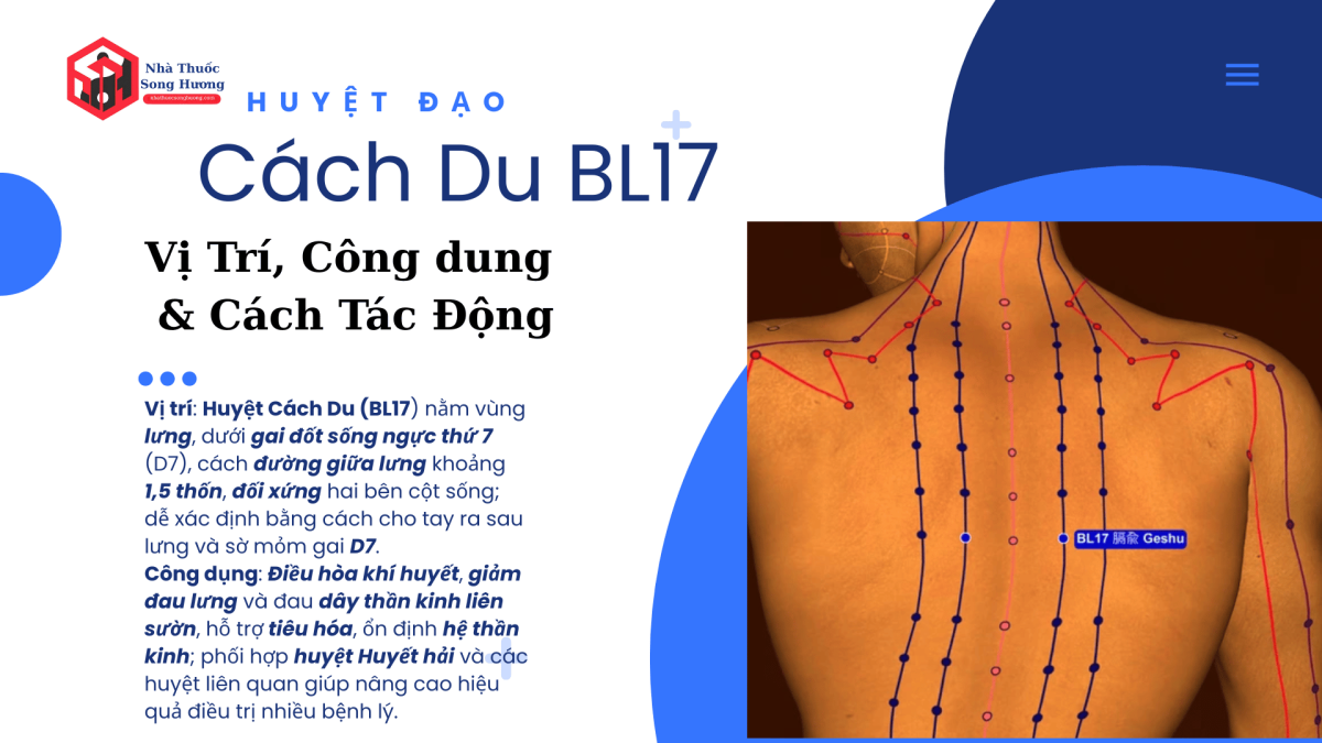Huyệt Cách Du Vị trí công dụng và cách tác động