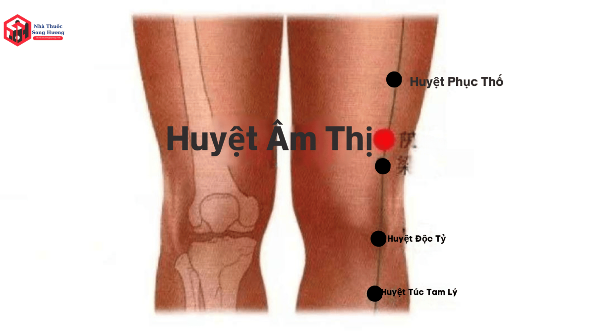 Huyệt âm thị phối hợp với huyệt nào để nâng cao hiệu quả điều trị