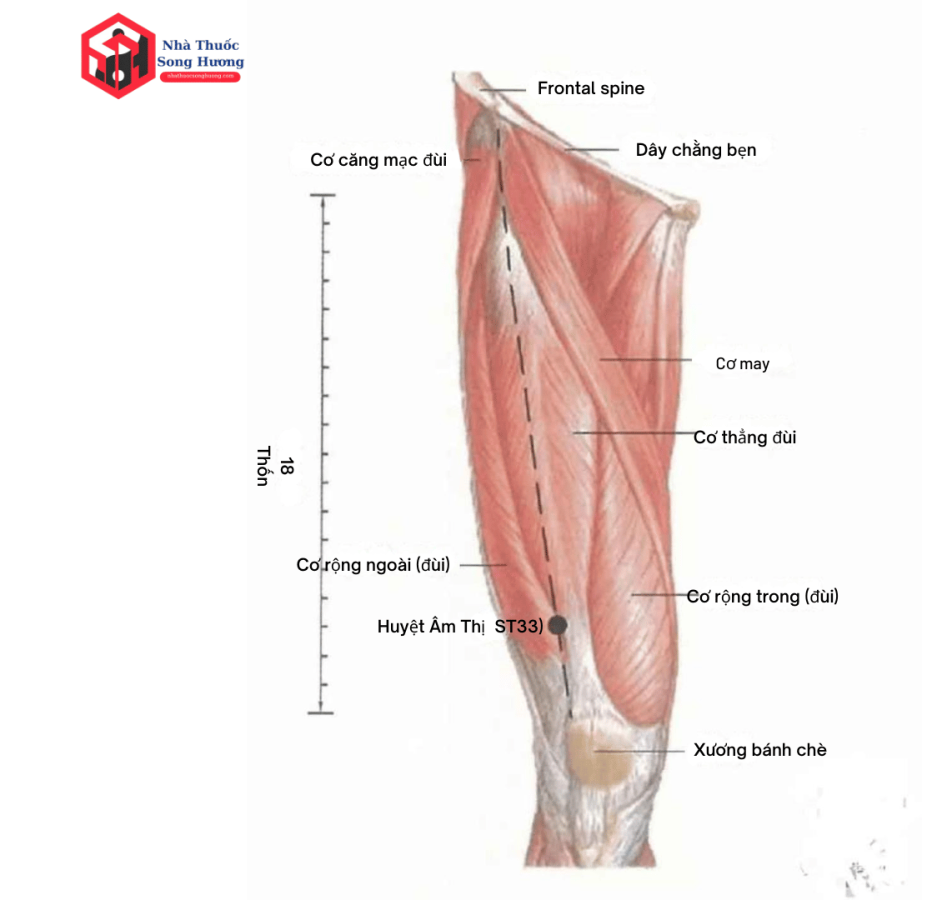 Những lưu ý quan trọng khi bấm huyệt châm cứu âm thị
