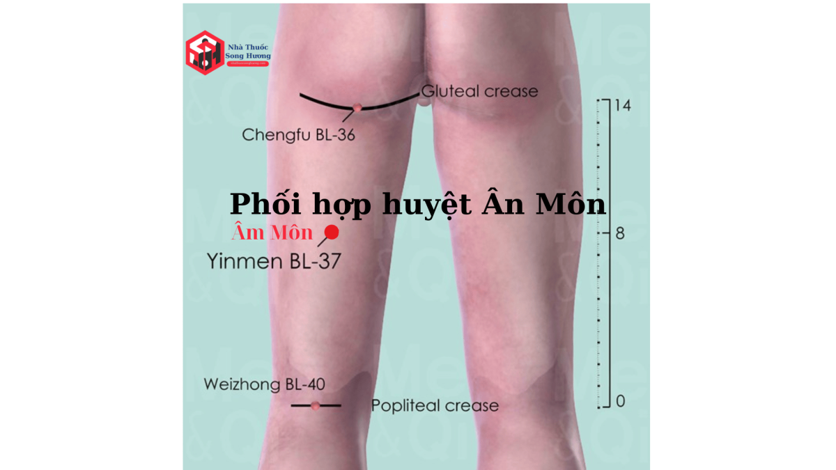 Phối hợp huyệt âm môn để chữa bệnh