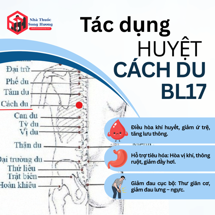 Tác dụng chính của huyệt Cách Du