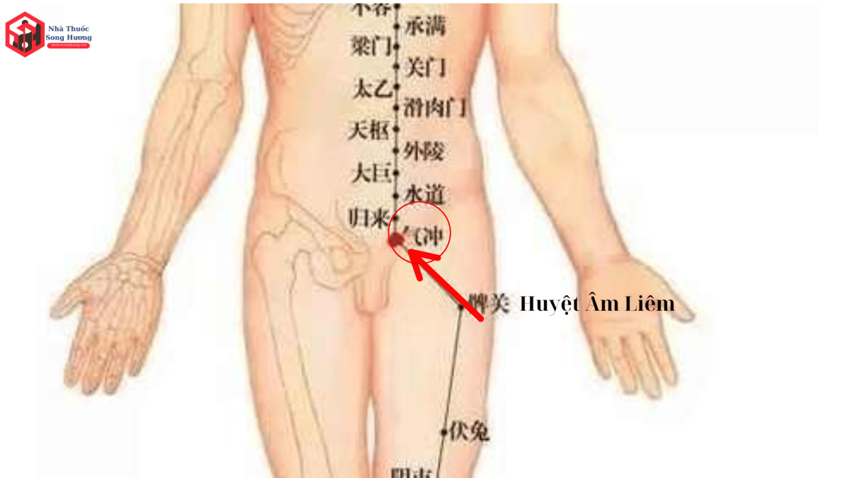 Tác dụng của huyệt Âm Liêm như thế nào