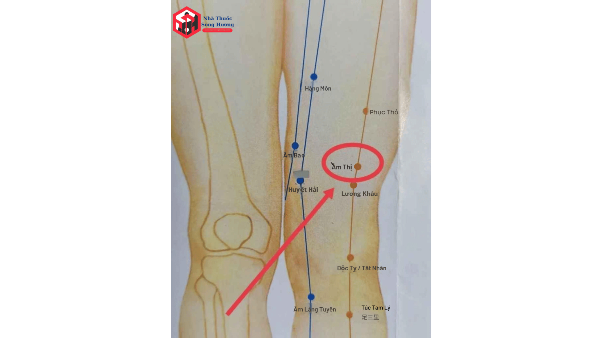 Tác dụng của huyệt âm thị theo đông y và y học hiện đại