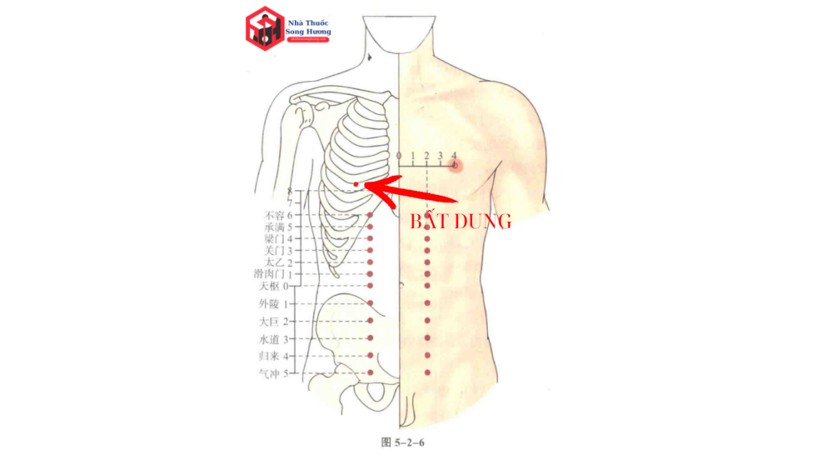 Tác dụng khi bấm huyệt Bất Dung
