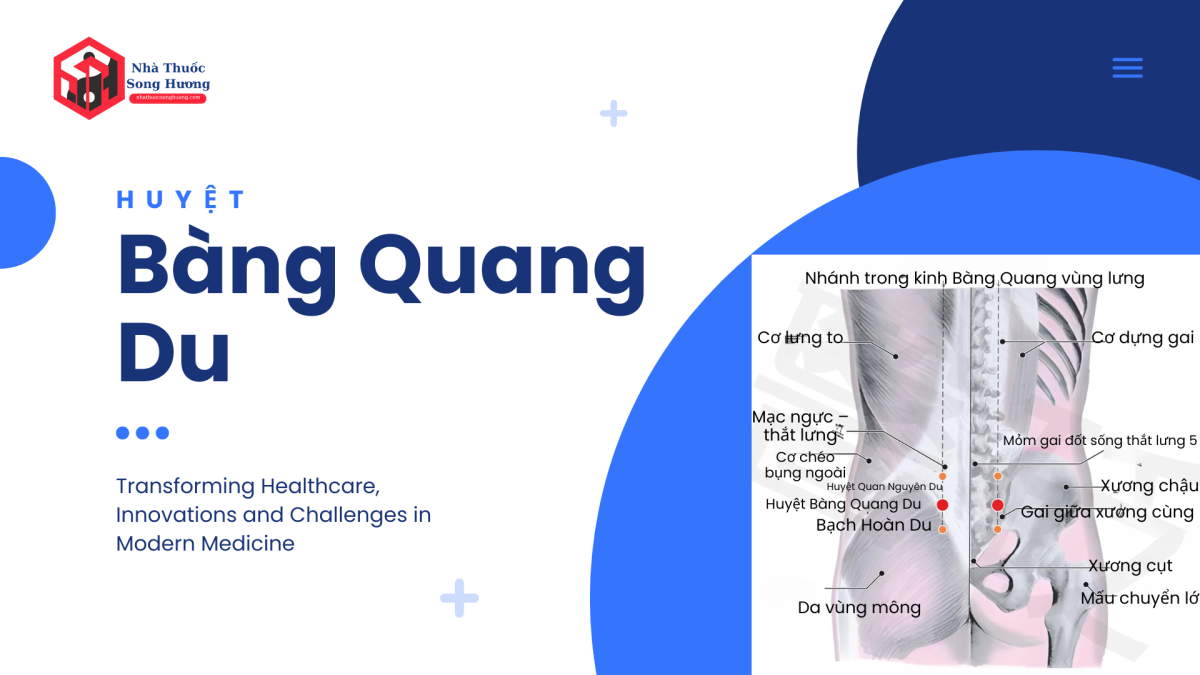 Vị trí huyệt Bàng Quang Du giải phẫu và có huyệt xung quanh